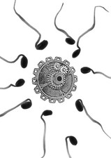 Mason Ball | The Invention of Mother | Taschenbuch | Englisch (2020) | [.]