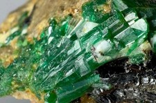 250 Ct. Ausgezeichneter Grün