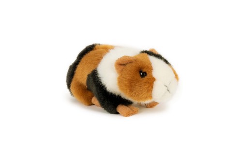 Meerschweinchen plüschtier - meerschweinchen,