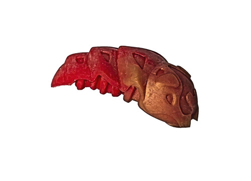 Lego bionicle rahkshi - bionicle:,