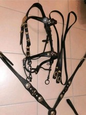 ⚜️Barock Set⚜️Zaum & Vorderzeug⚜️ WB/KB⚜️EINZELSTÜCK ⚜️ Schwarz/Gold ⚜️ PRUNK ⚜️