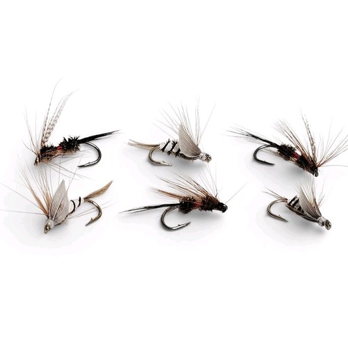 Nymphen trockenfliegen 6er set - nymphen,