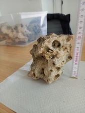 Sansibar Lochgestein geeignet für Aquarium, Terrarium, Garten, Maße ca 15x9x9cm 