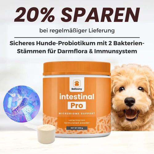 Balloony intestinal darmpulver - intestinal,