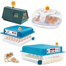 Brutmaschine Brutkasten