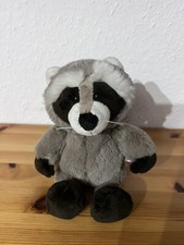 Nici raccoon - nici,