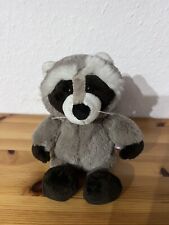Nici Raccoon