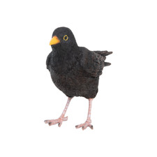 Gartenfigur Amsel lebensgroß
