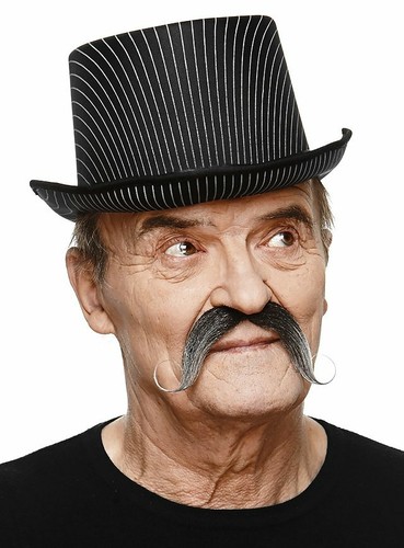 Langer zwirbelbart - langer,