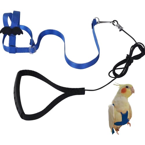 Vogel geschirr papageien leine - vogel,