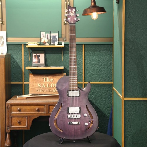 Gitarre vigier series - e-gitarre,