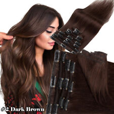 Clip in HUMAN Extensions 100%
