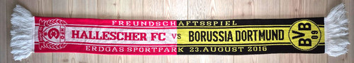 Borussia dortmund fsv - dortmund,