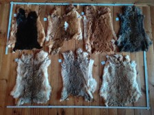 Hasen Kaninchen Fell Balg Basteln Hasenfell Larp MPS Mittelalter schwarz braun