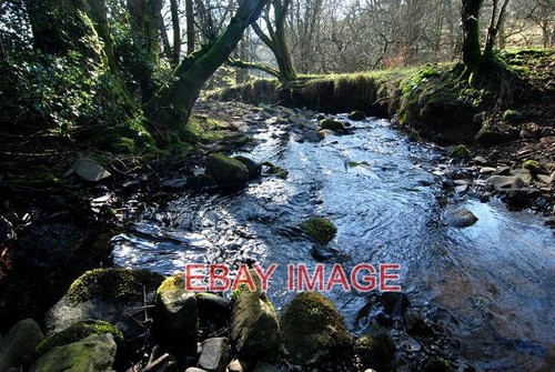 Foto kühles wasser wald - foto,