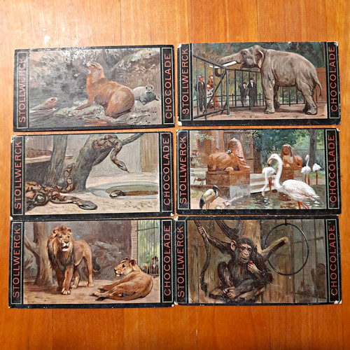 Stollwerck sammelbilder - stollwerck, 6