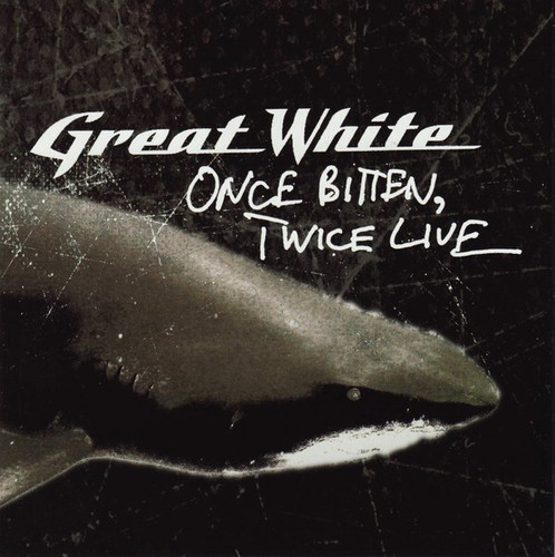 Great white once bitten twice - great,
