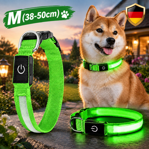 Leuchthalsband hund - leuchthalsband,