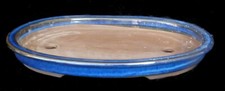 Bonsai - Bonsaischale Blau -