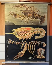 Schulwandkarte Rollbild |