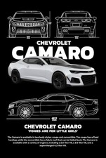 Blechschild chevrolet camaro - blechschild,