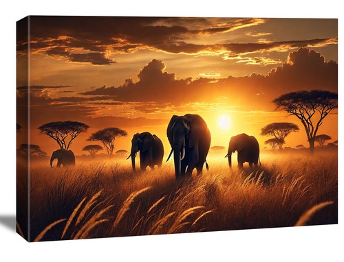 Bilder leinwand afrika - leinwand,