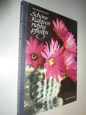 Schöne Kakteen richtig