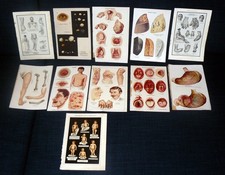 Krankheitsbilder
