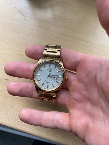 Citizen 100 ecodrive - wr,