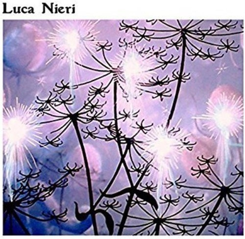 Luca nieri - -,