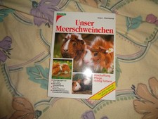 Anja J. Steinkamp-----Unser Meerschweinchen