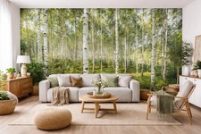 Sonnige Wald Bäume Riesige