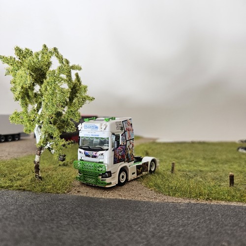 Scania repinski eigenbau - scania,
