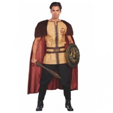 Wikinger Kostüm Varo für