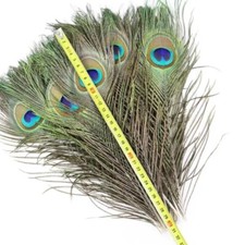 20pcs Pfauenfedern Ornamente