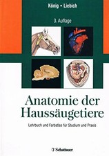 Anatomie der Haussäugetiere: Lehrbuch und Farbatlas für Buch Schattauer