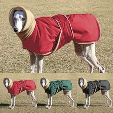 Windhundmantel Greyhound