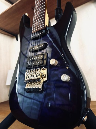 Fernandes 55s sustainer - fernandes,