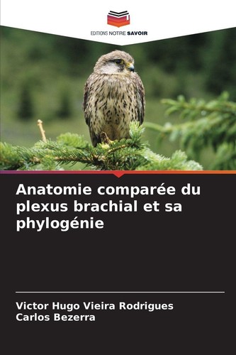 Anatomie comparée plexus - anatomie,