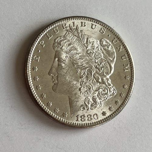 Usa morgan dollar - nr.,