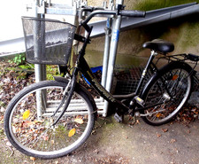 Damen Fahrrad  PROPHETE - mit