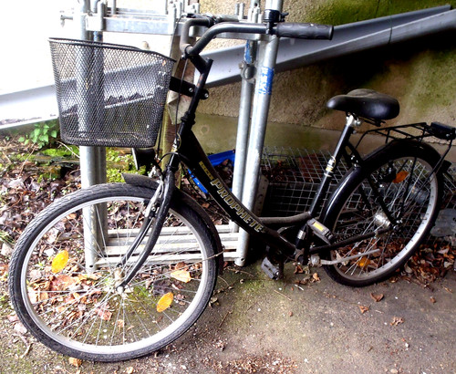 Damen fahrrad prophete mit - fahrrad,