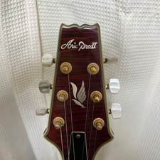 Aria Pro II E-Gitarre Cherry