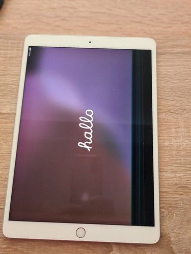Gebrauchtes apple ipad air - ,