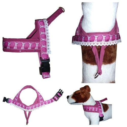 Hundehalsband - 🐾,