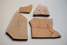 4 Fossilien aus Solnhofen