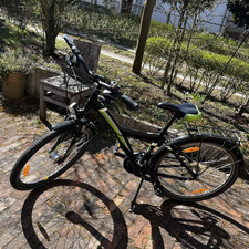 Pegasus Kinderfahrrad Schwarz