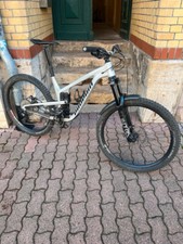 Propain Tyee 5 Al 29“, Gr. L