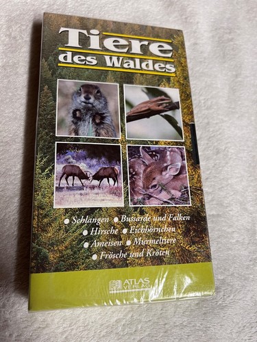 Tiere des waldes - tiere,