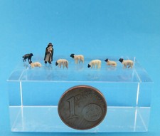 ( 1:220 ) Schwarzkopfschafe